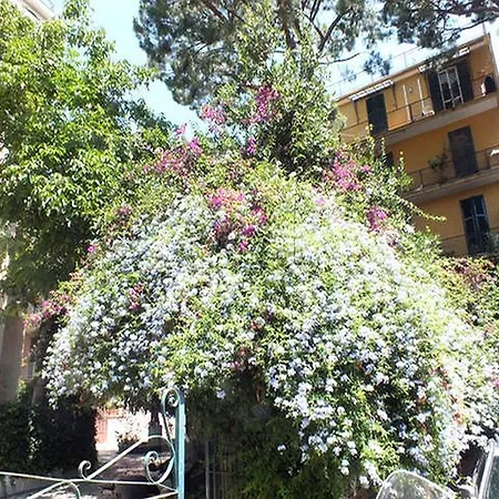 Trastevere Treasure * Rome
